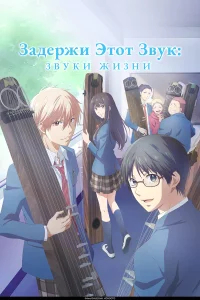 Задержи этот звук: Звуки жизни бесплатно